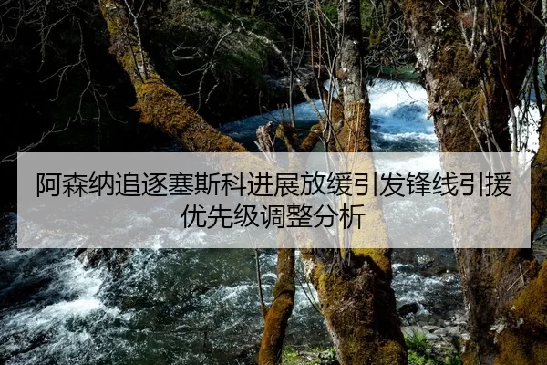 阿森纳追逐塞斯科进展放缓引发锋线引援优先级调整分析