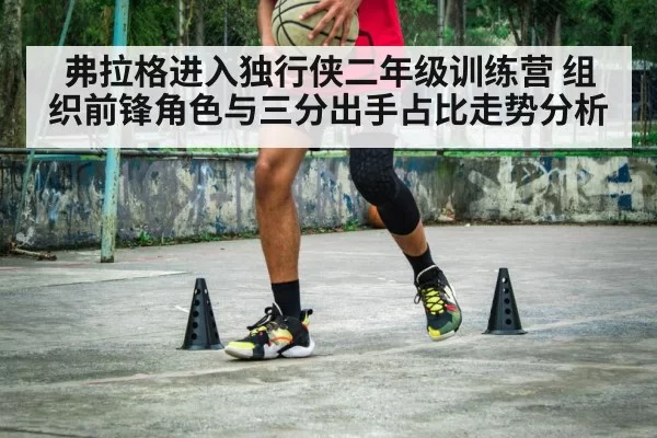 弗拉格进入独行侠二年级训练营 组织前锋角色与三分出手占比走势分析
